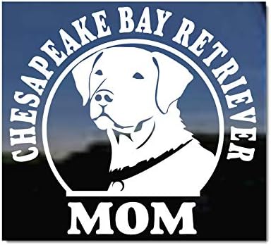 Chessie Anne / Chesapeake Körfezi Retriever NickerStickers ® Köpek Pencere Araba Kamyon RV Çıkartma