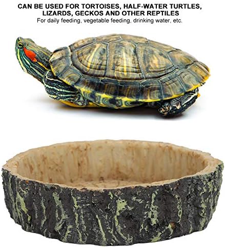 Su Kabı, Sürüngen Besleyici, Kaplumbağa için Sentetik Terrapin