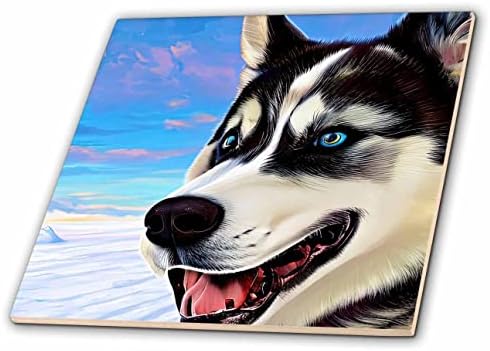 3dRose Sibirya Husky köpek portresi. Mavi gökyüzü, beyaz kar. Dijital sanat hediye-Fayans (ct-376162-6)