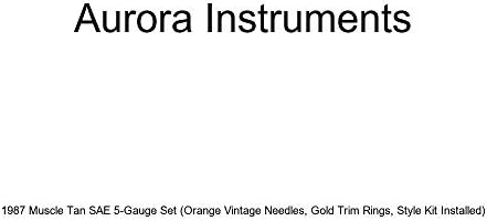 Aurora Instruments 1987 Kas Tan SAE 5 Ayar Seti (Turuncu Vintage İğneler, Altın Kaplama Yüzükler, Stil Kiti Takılı)