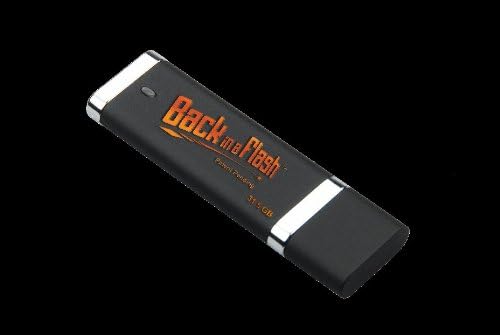 Bir Flaşta Geri Dön 31,5 GB USB Bellek