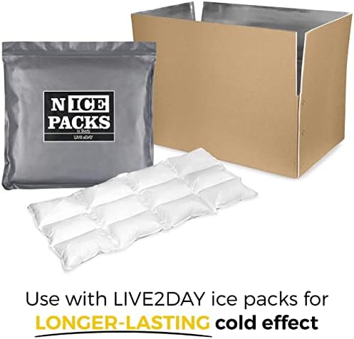 Canlı 2day Yalıtımlı Nakliye Kutusu Kuru Buz Paketleri ile / Taze Gıda Nakliyesi için / Soğutucular ve Öğle Yemeği Çantaları için