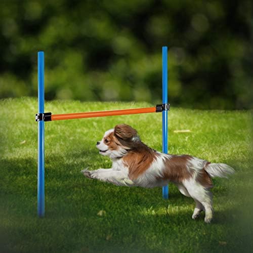 TEZAHÜRAT PET köpek çeviklik ekipmanları, eğitim ve interaktif oyun için 28 parça köpek engel kursu Köpek çeviklik tüneli, ayarlanabilir