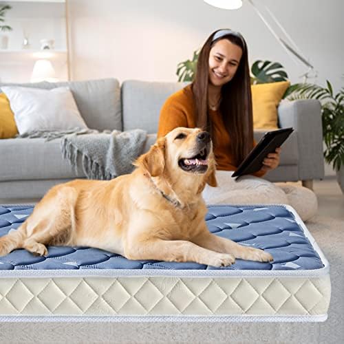 5 Kalın Premium Köpük Köpek Yatağı, Köpekler için XX-Large Evcil Hayvan Yatağı, Sağlam ve Kolay Girintili Değil, Evcil Hayvanın Omurgasını
