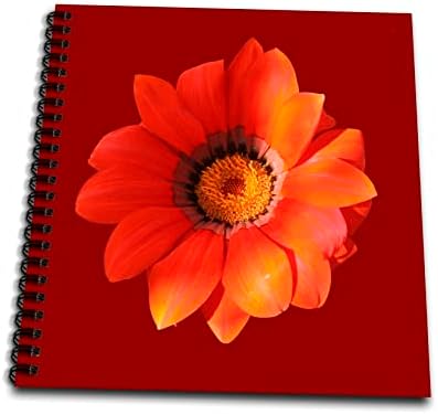 3dRose Turuncu Gazanya Çiçek Vektör Sanatı Kesilmiş-Çizim Kitapları (db-370949-2)