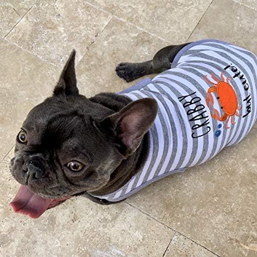 Parisli Pet Köpek yaz giysileri / 'Yengeç' Komik Köpek Tshirt Nakış Deseni ile, Boyut L
