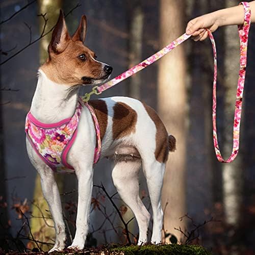 SXNBH Yansıtıcı Naylon Köpek Koşum Çiçek Baskılı köpekler için yelek tasma ve Tasma seti Küçük Orta Köpekler için Pet Yürüyüş Koşum