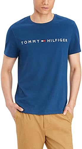 Tommy Hılfıger erkek Temel Bayrak Logosu T-Shirt